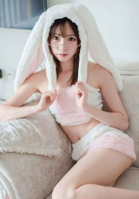 翻译官电视剧