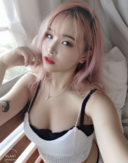 星期六综艺免费观看