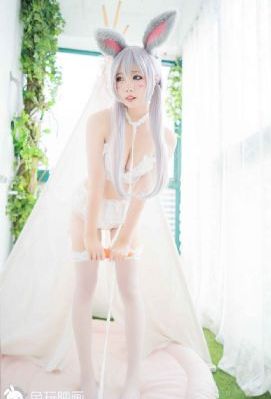 柯南vs怪盗基德