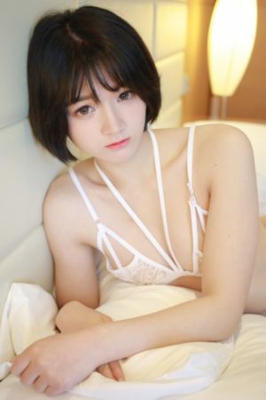 电视剧《惊弦》在线观看